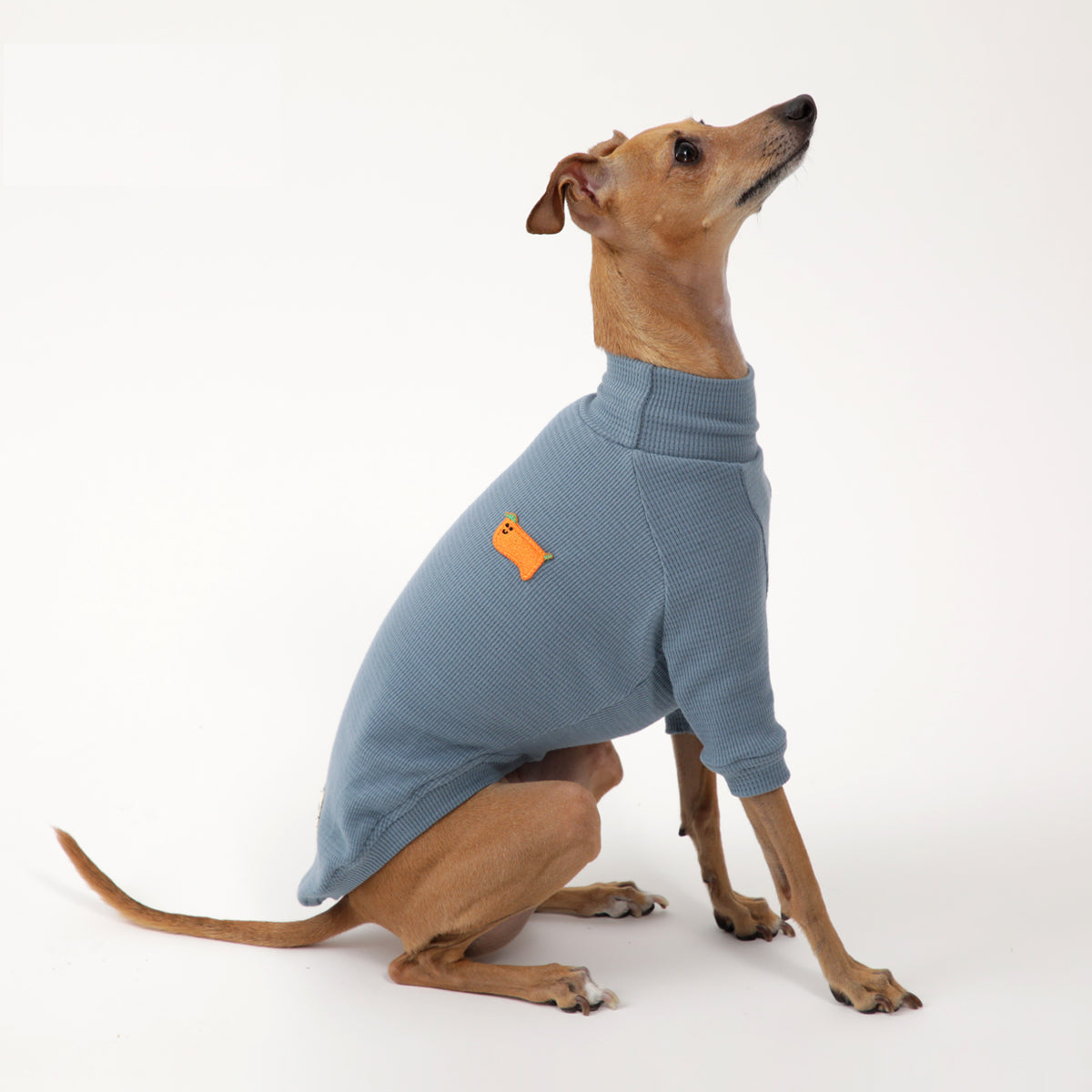 Korean Design Hound Fitted Jumper - Coral Red / Soft Blue