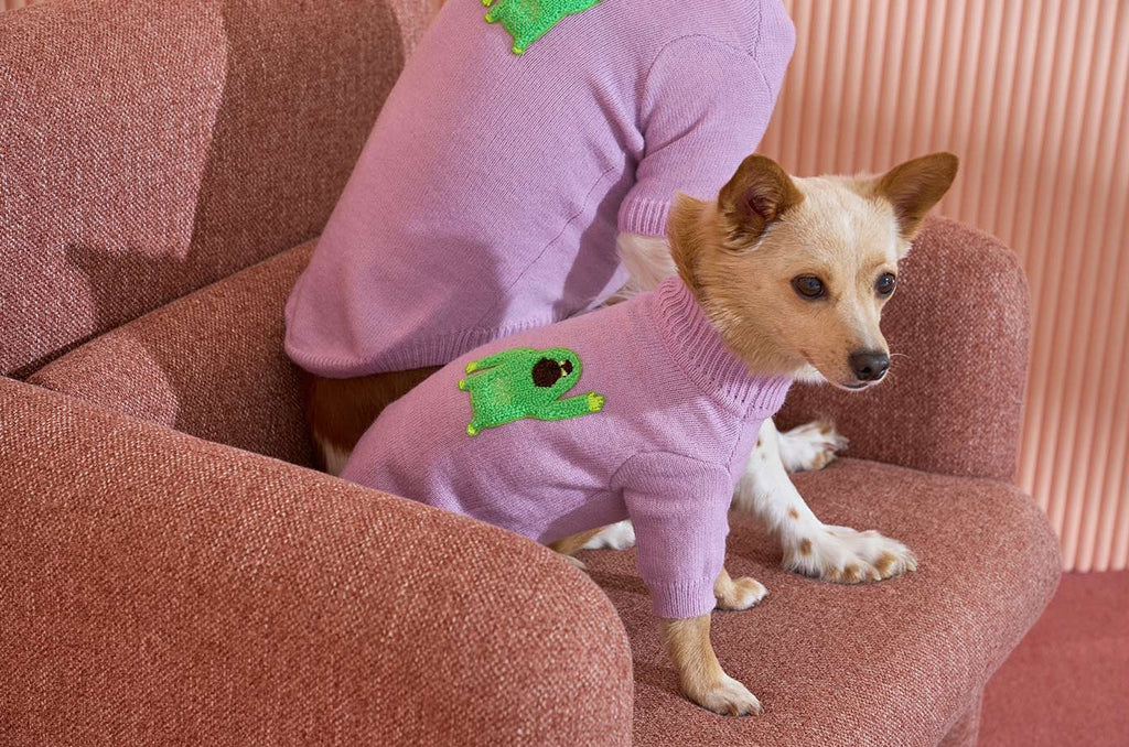 Korean Design Knitted Gorilla Dog / Cat Jumper - Pink / Orange / Blue / Green