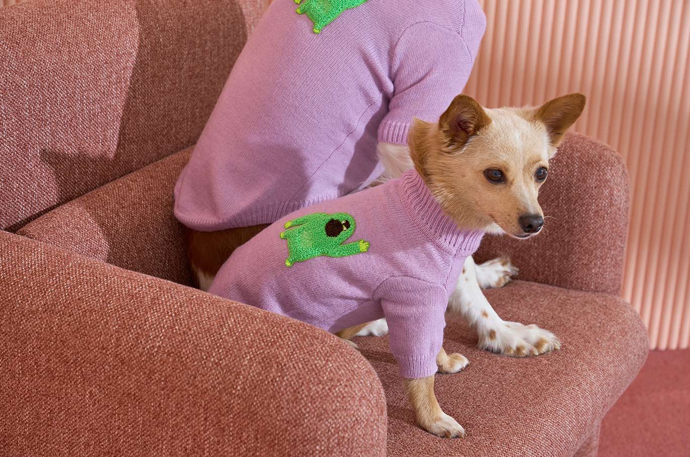 Korean Design Knitted Gorilla Dog / Cat Jumper - Pink / Orange / Blue / Green