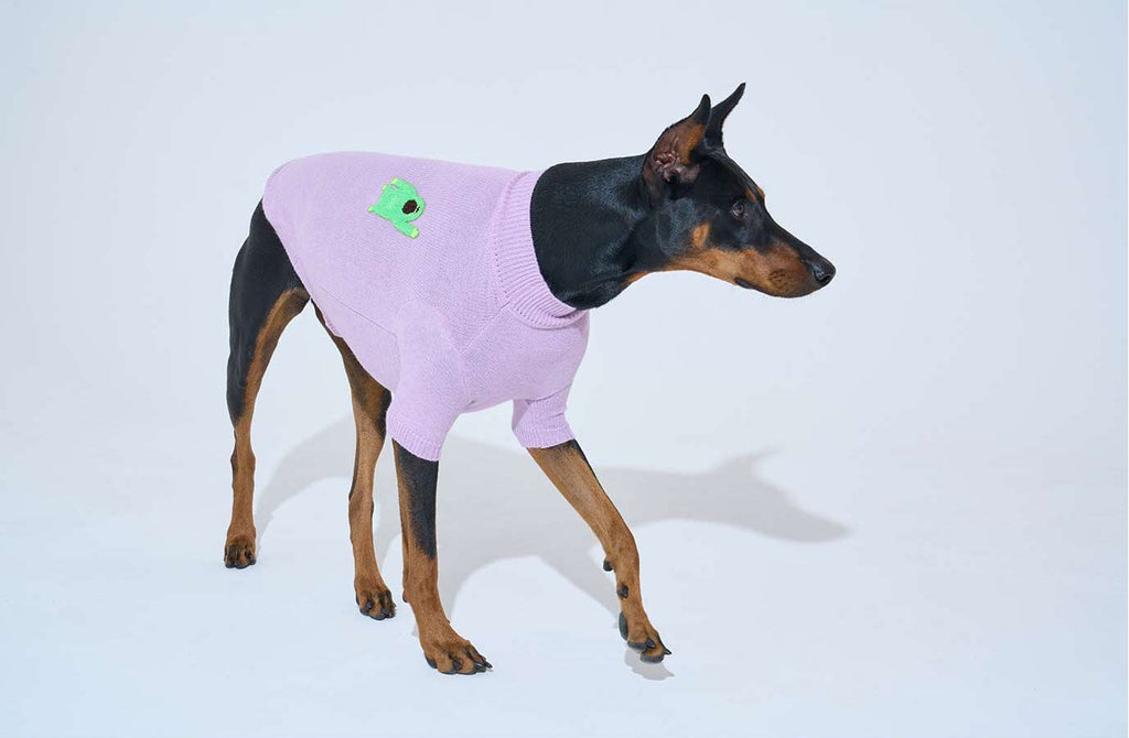 Korean Design Knitted Gorilla Dog / Cat Jumper - Pink / Orange / Blue / Green