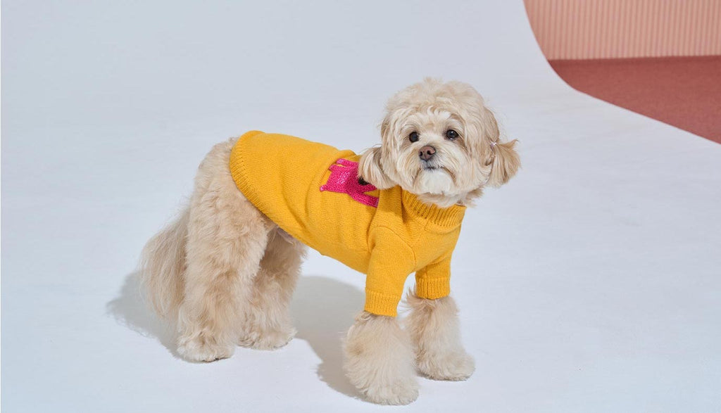 Korean Design Knitted Gorilla Dog / Cat Jumper - Pink / Orange / Blue / Green