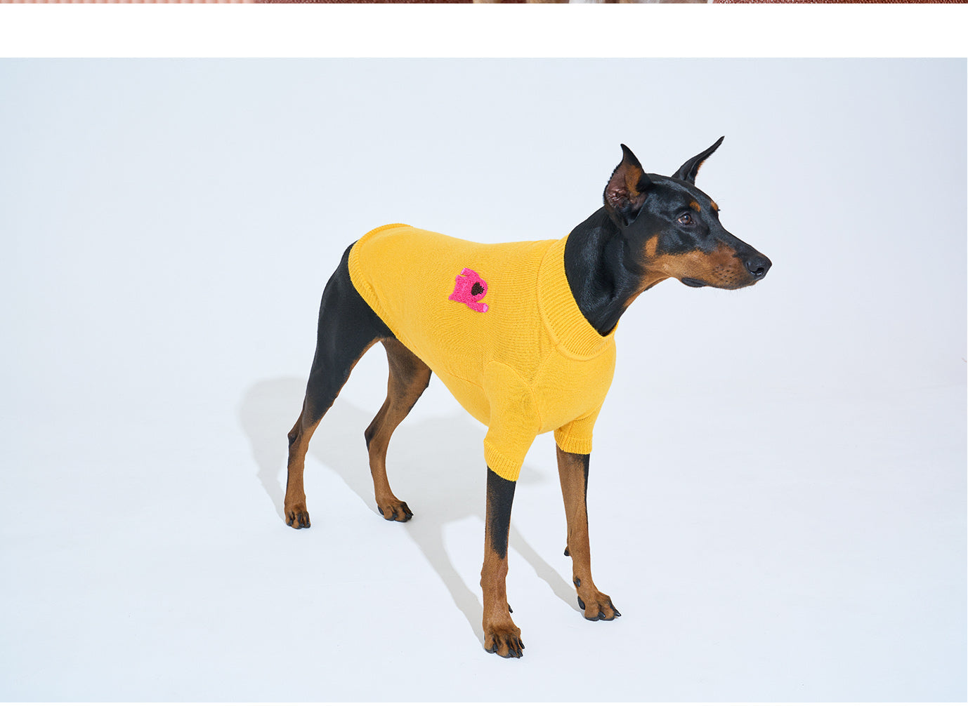 Korean Design Knitted Gorilla Dog / Cat Jumper - Pink / Orange / Blue / Green