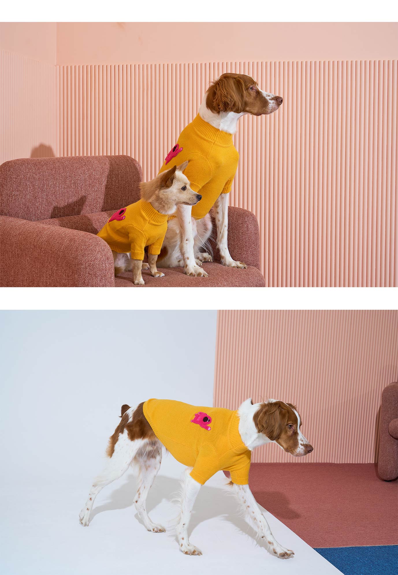 Korean Design Knitted Gorilla Dog / Cat Jumper - Pink / Orange / Blue / Green