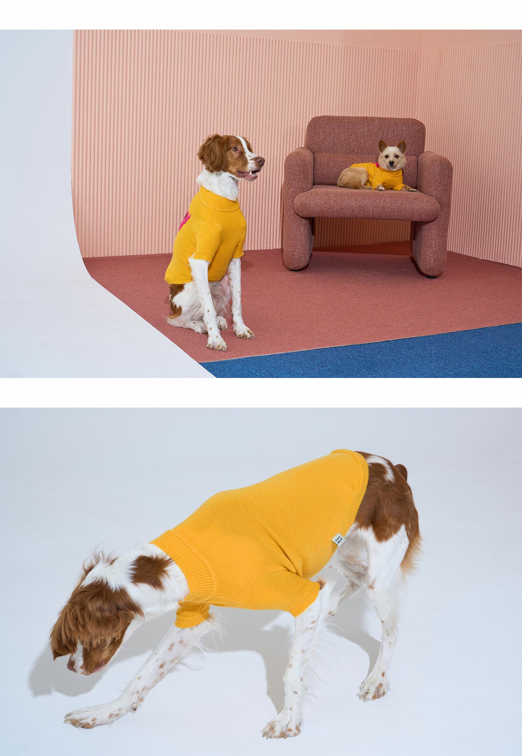 Korean Design Knitted Gorilla Dog / Cat Jumper - Pink / Orange / Blue / Green