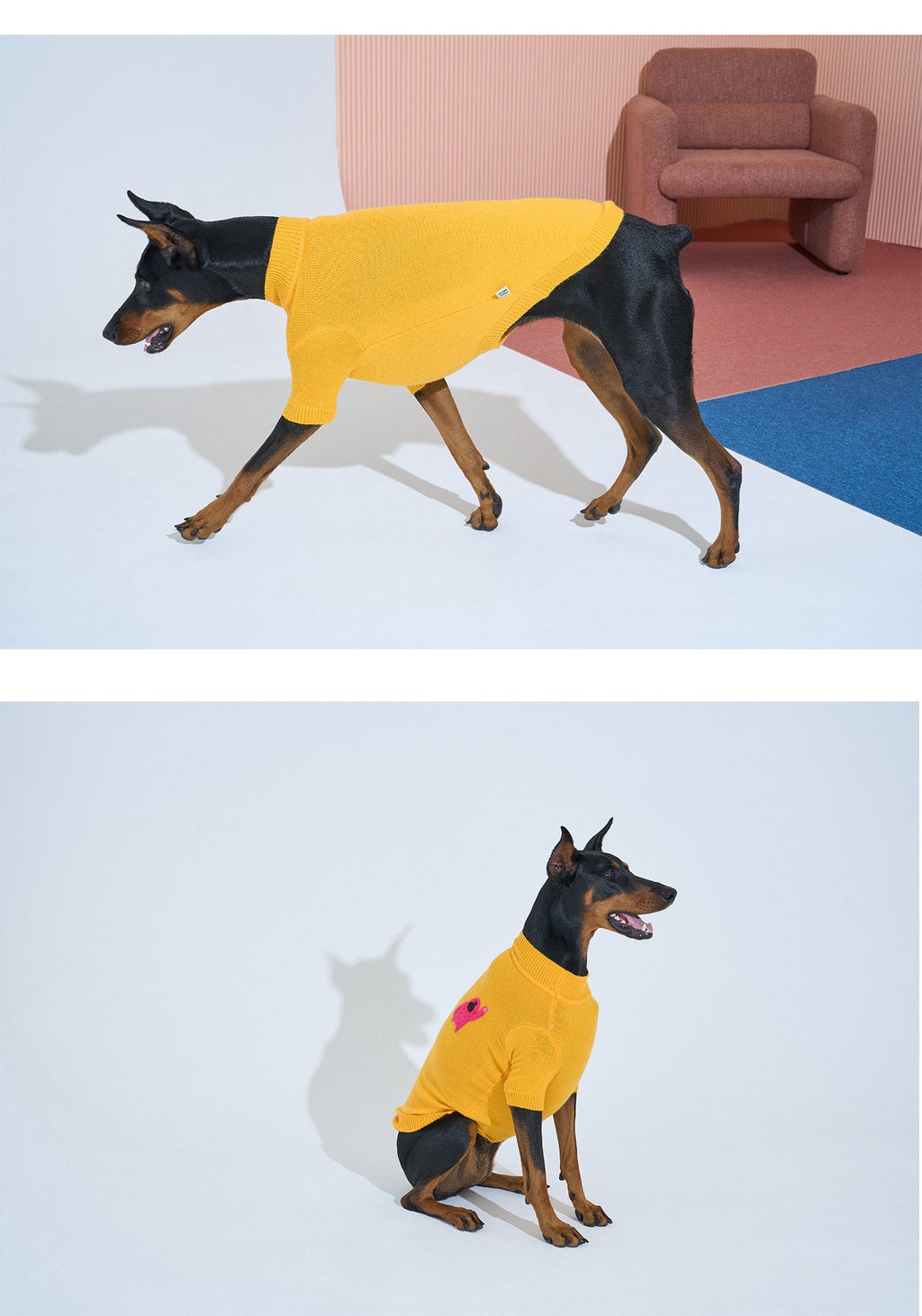 Korean Design Knitted Gorilla Dog / Cat Jumper - Pink / Orange / Blue / Green