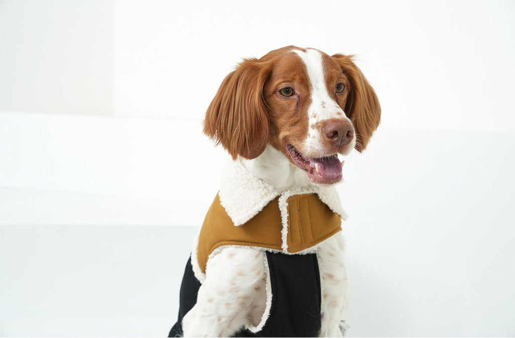 Korean Design Teddy Bear Fleece Winter Puffer Jacket for Dogs / Cats