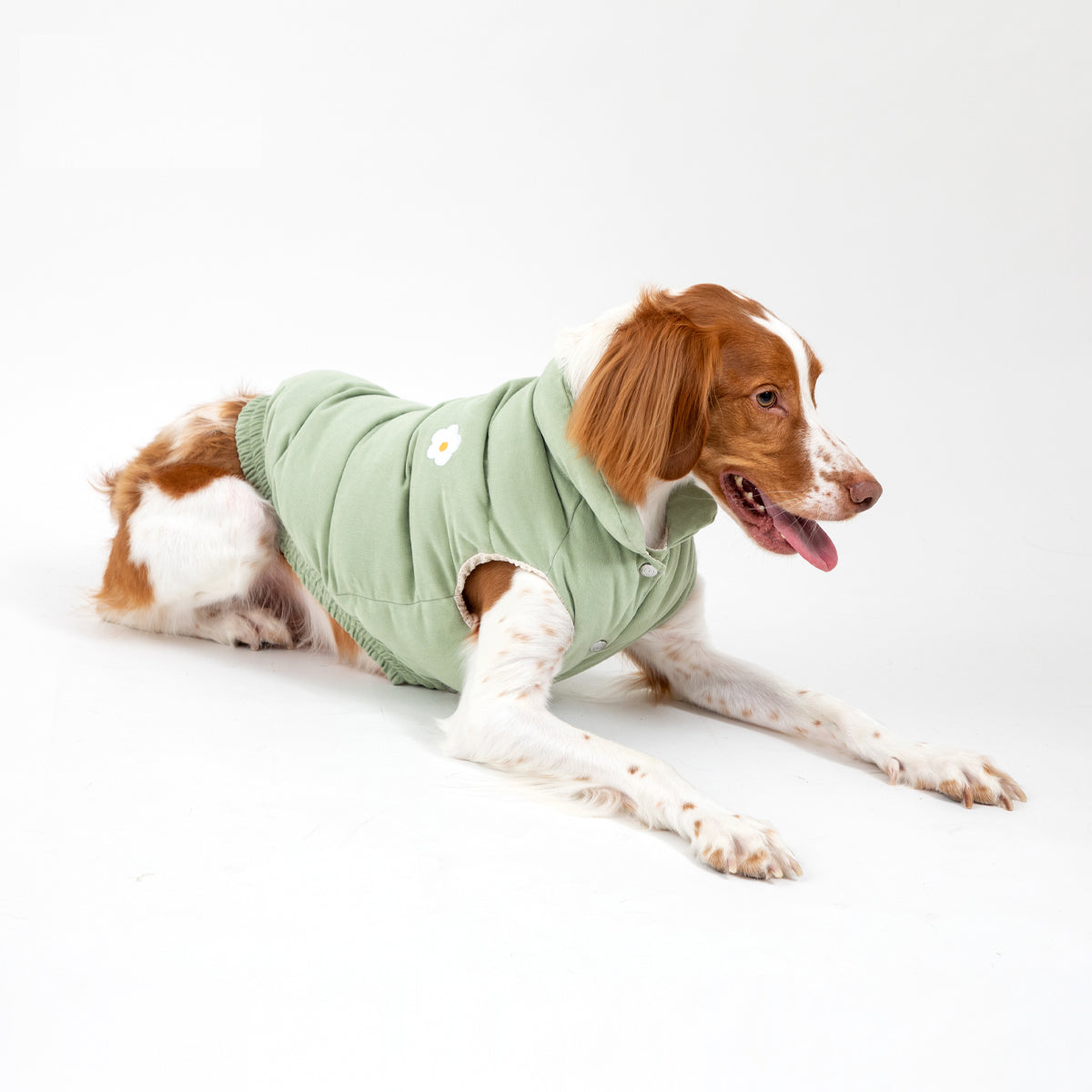 Korean Design Daisy Puffer Jacket