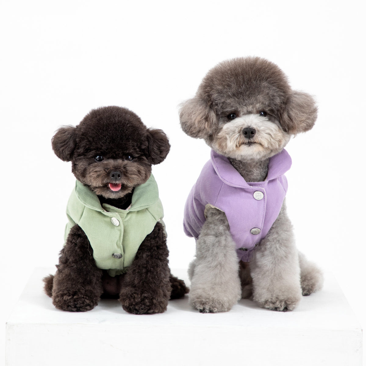 Korean Design Daisy Puffer Jacket