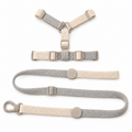 Adjustable Dog Harness and Lead Set – Soft Breathable Walking Harness with Matching Lead for Small Dogs