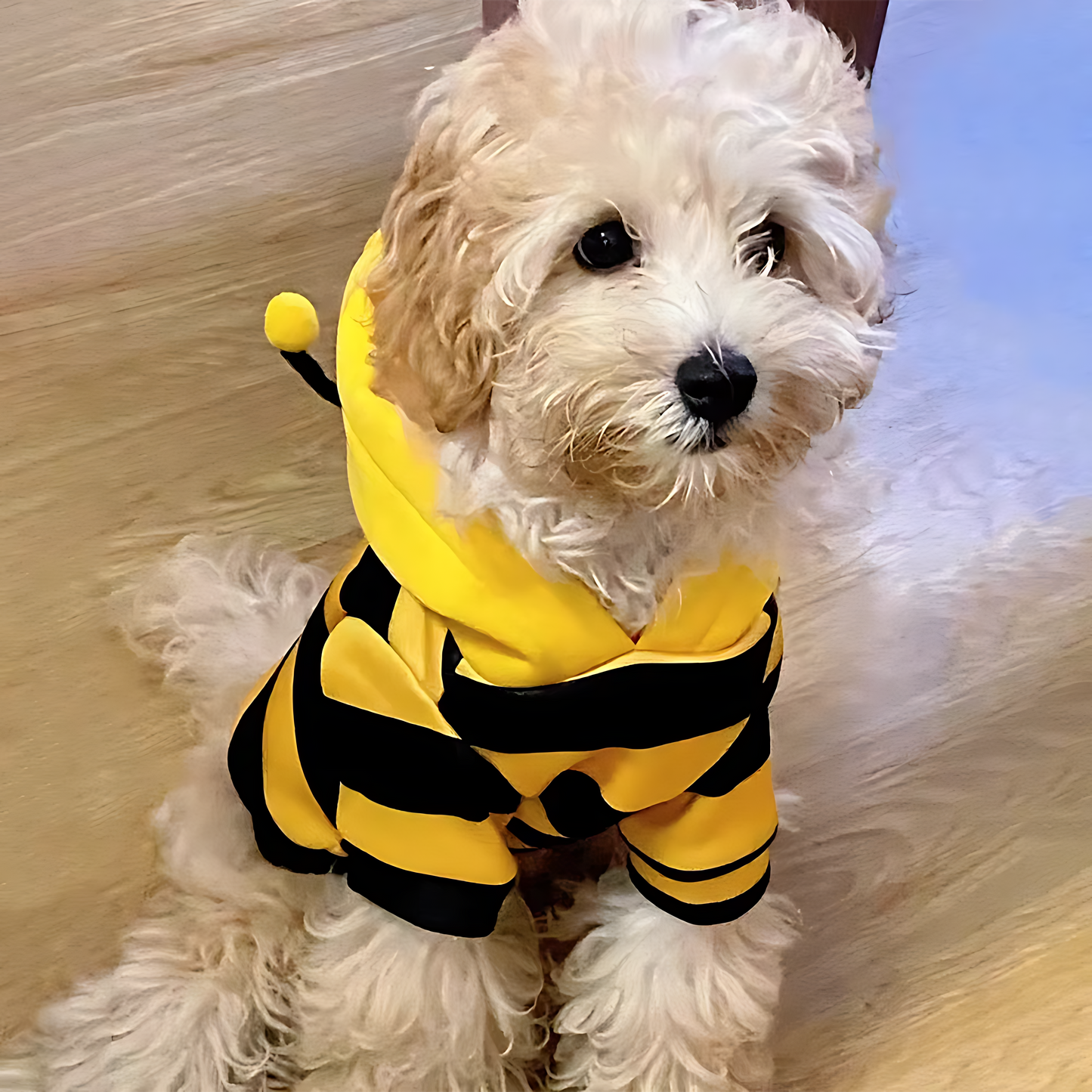 Bee Costume Pet Hoodie – Warm Winter Outfit for Dogs & Cats