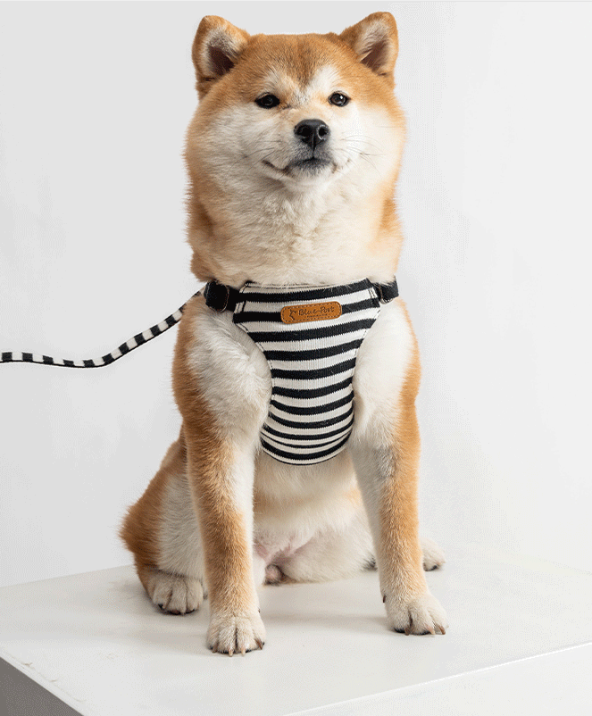 Japanese design 100% cotton super soft harness with lead set for dogs and cats