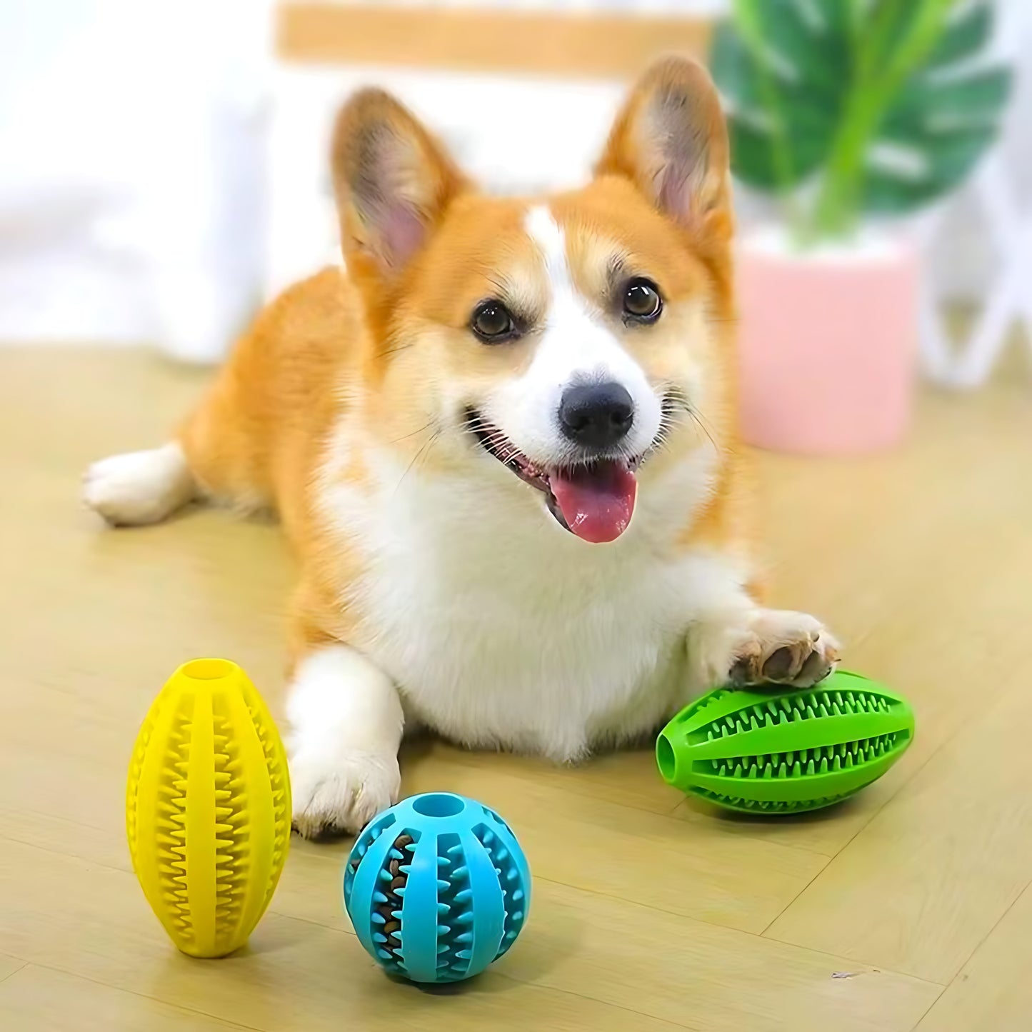 Durable Rubber Dog Treat Ball – Interactive Bouncy Chew Toy