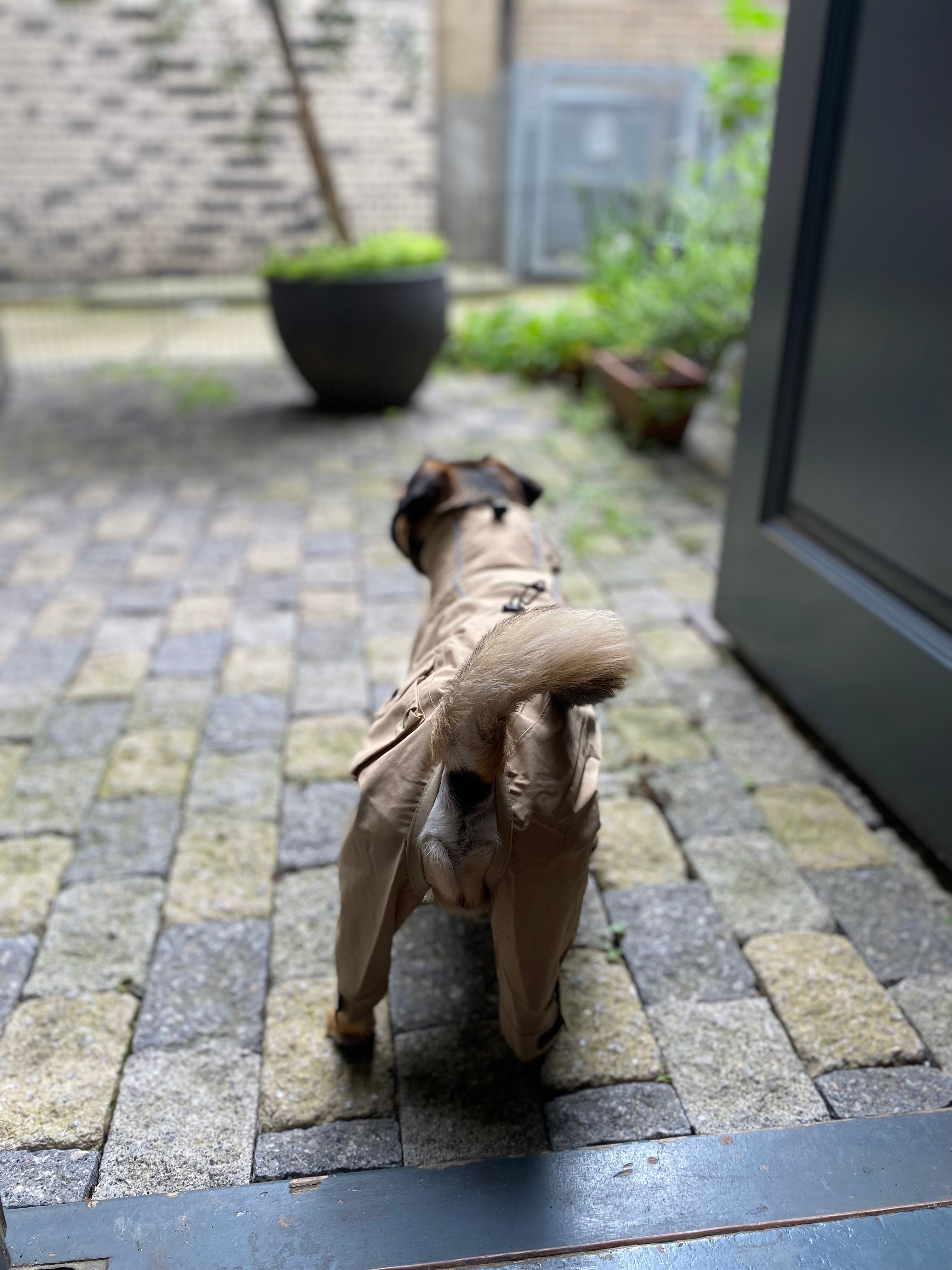 Korea Design Dog Windbreaker Raincoat with 4 legs