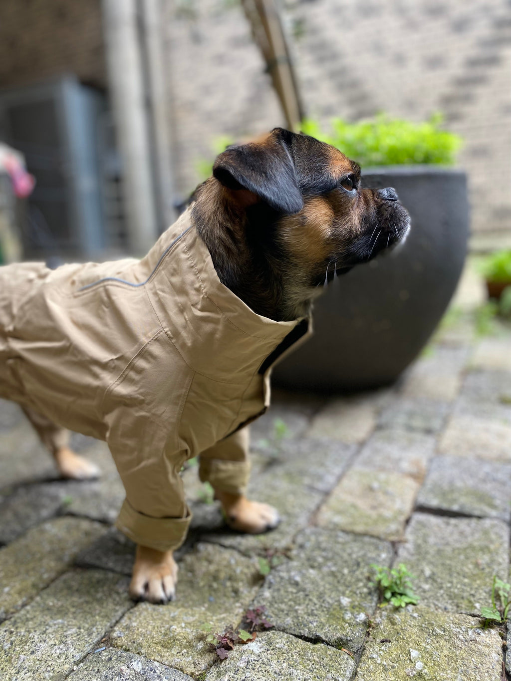 Korea Design Dog Windbreaker Raincoat with 4 legs