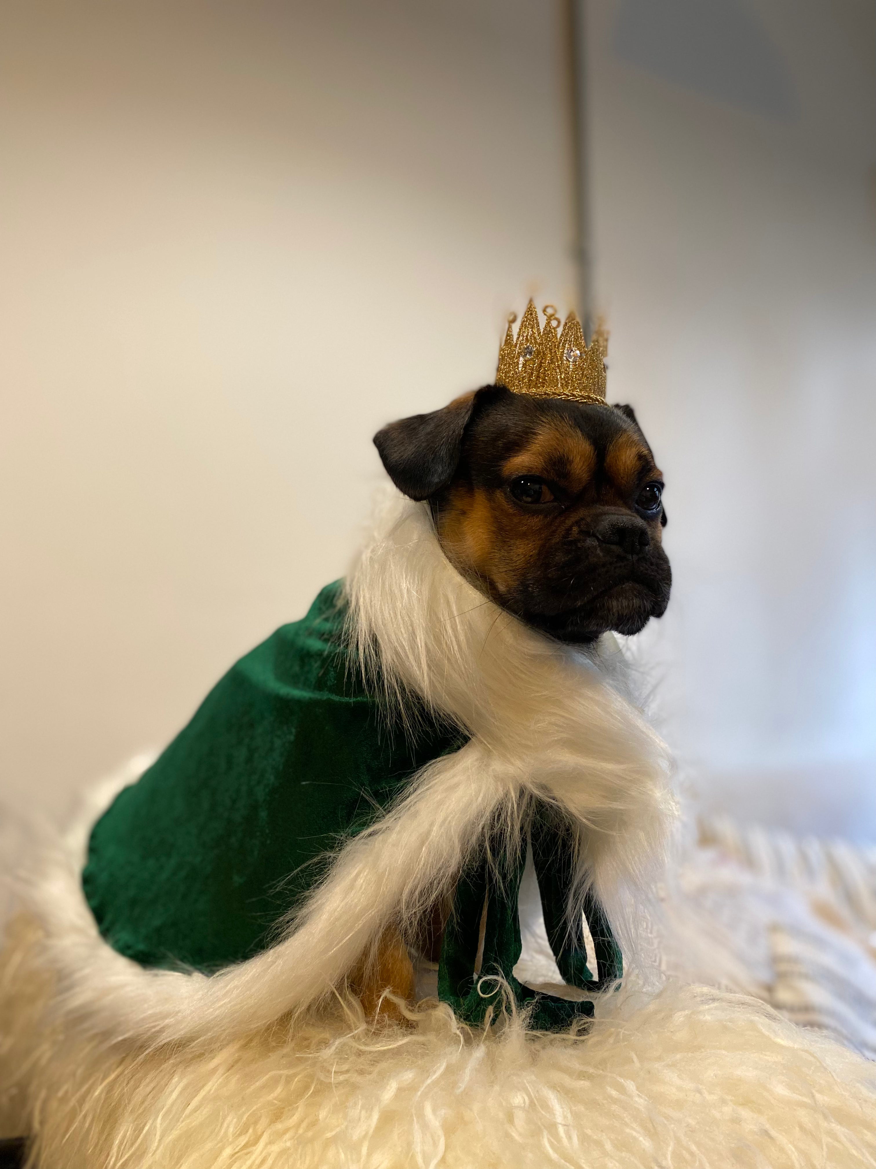 Royal Emerald Cape with Faux Ermine Fur
