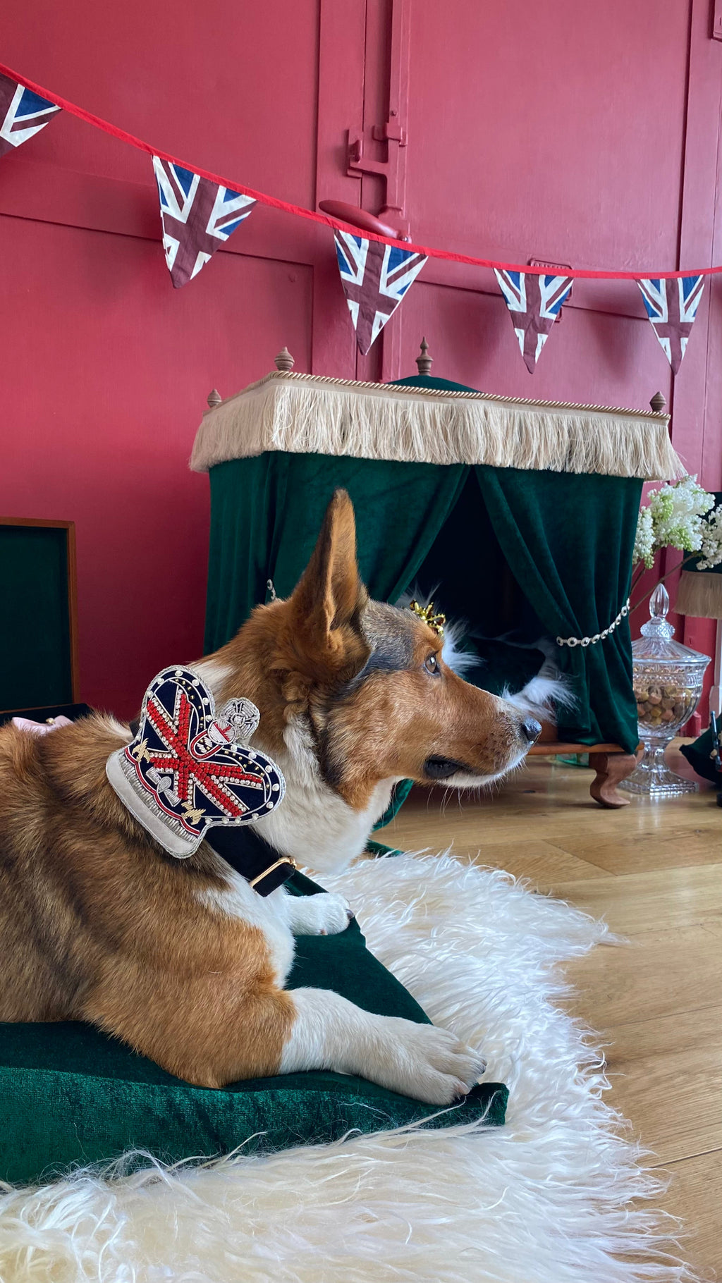 Royal Crown Dog / Cat Velvet Collar Set