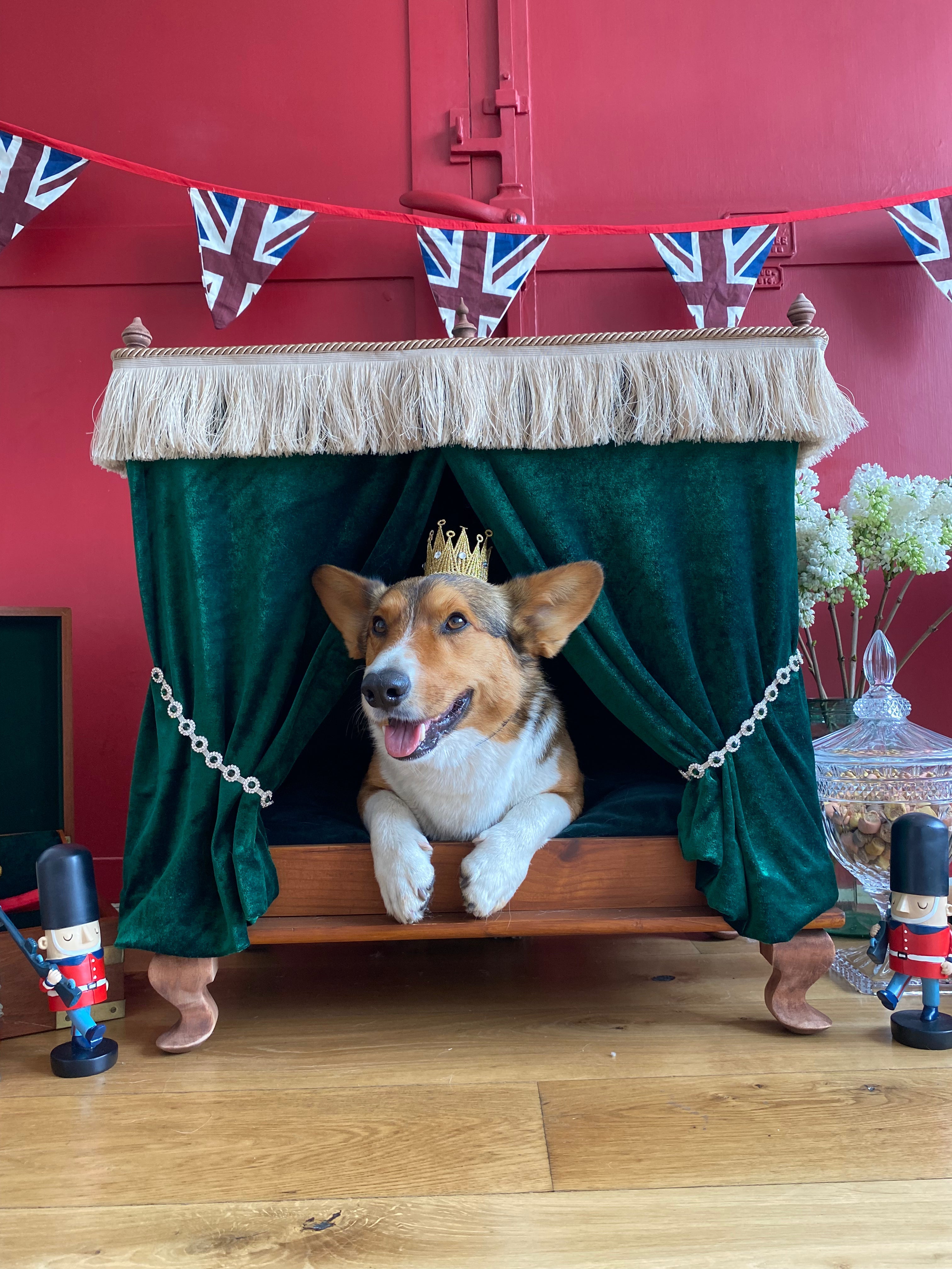 Royal Crown for Dog/ Cat