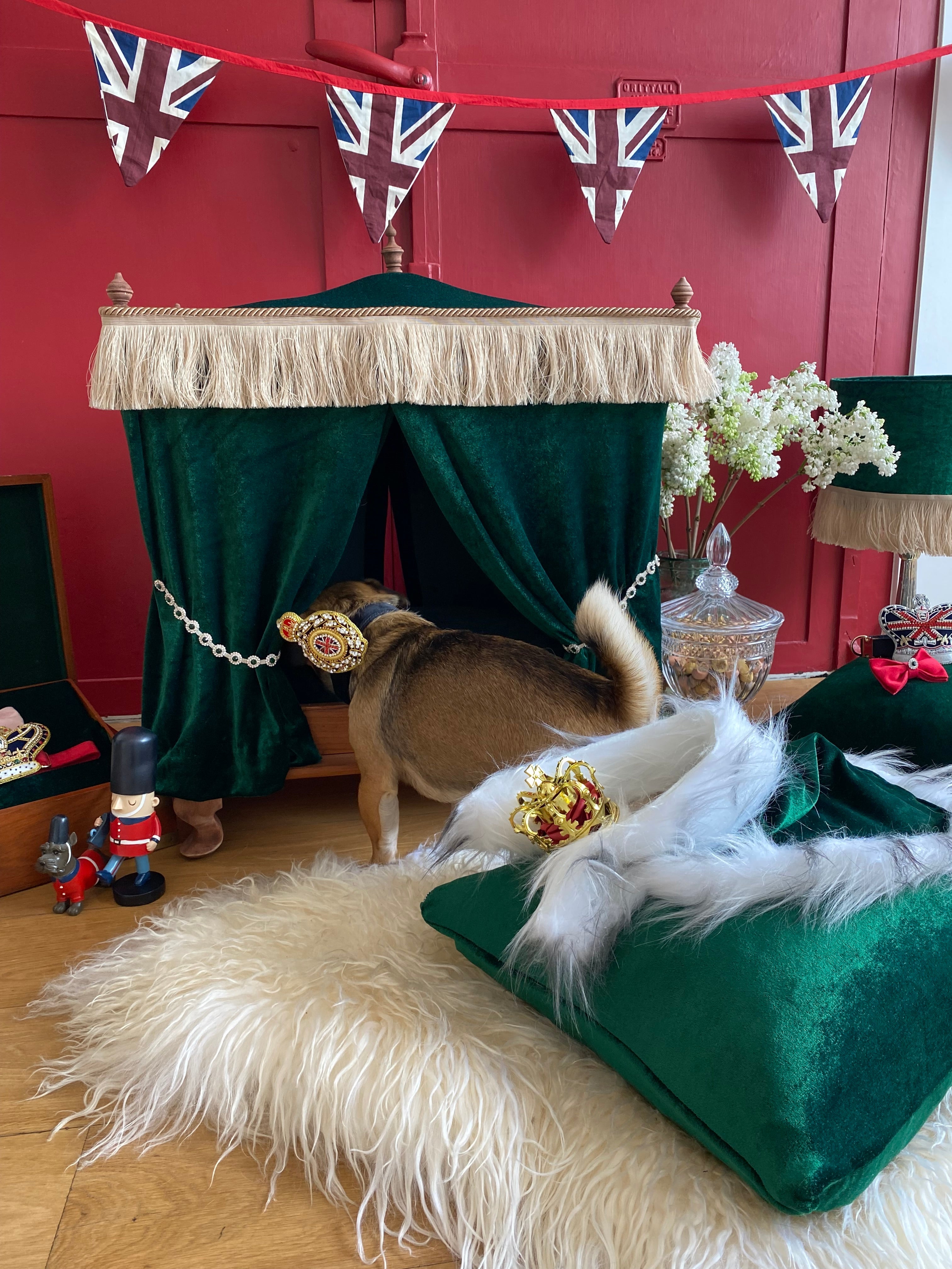 Pet Palace in velvet and dark wood