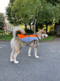 Summer Dog Cooling Vest