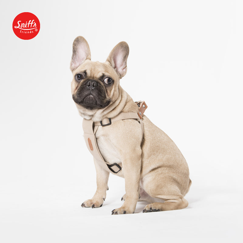 Sniff 100% Cotton Harness with leather and brass buckle - Light Denim Blue & Beige