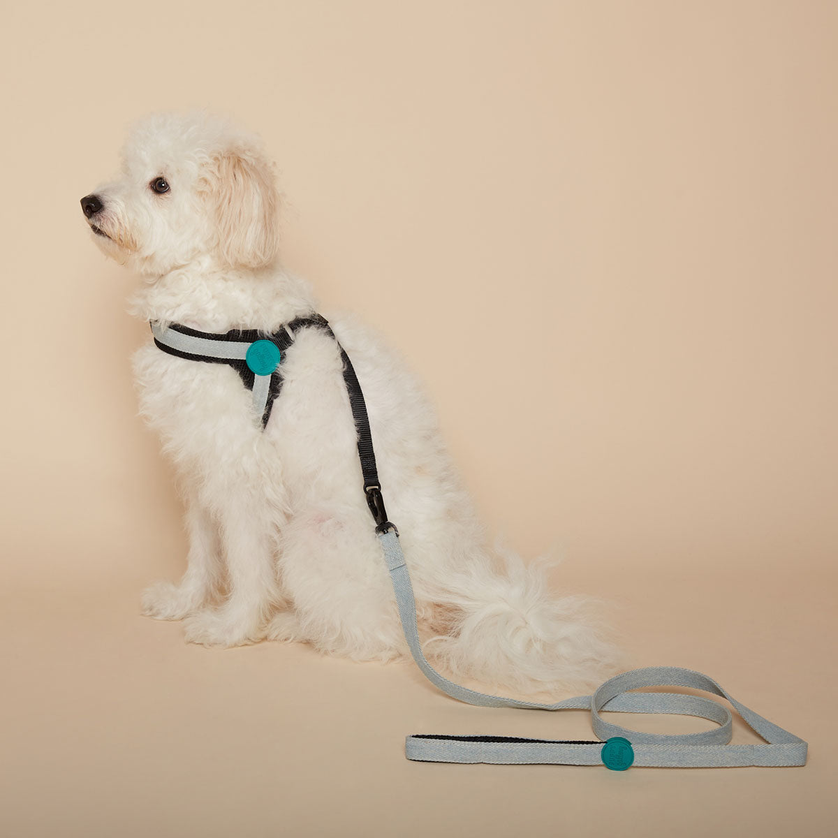 Puppy Gallery Korea - Dog Harness and Lead - Baby Pink / Light Green