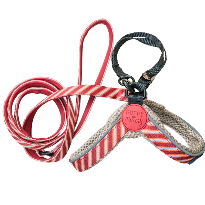 Puppy Gallery Korea - Dog Harness and Lead - Red Stripe