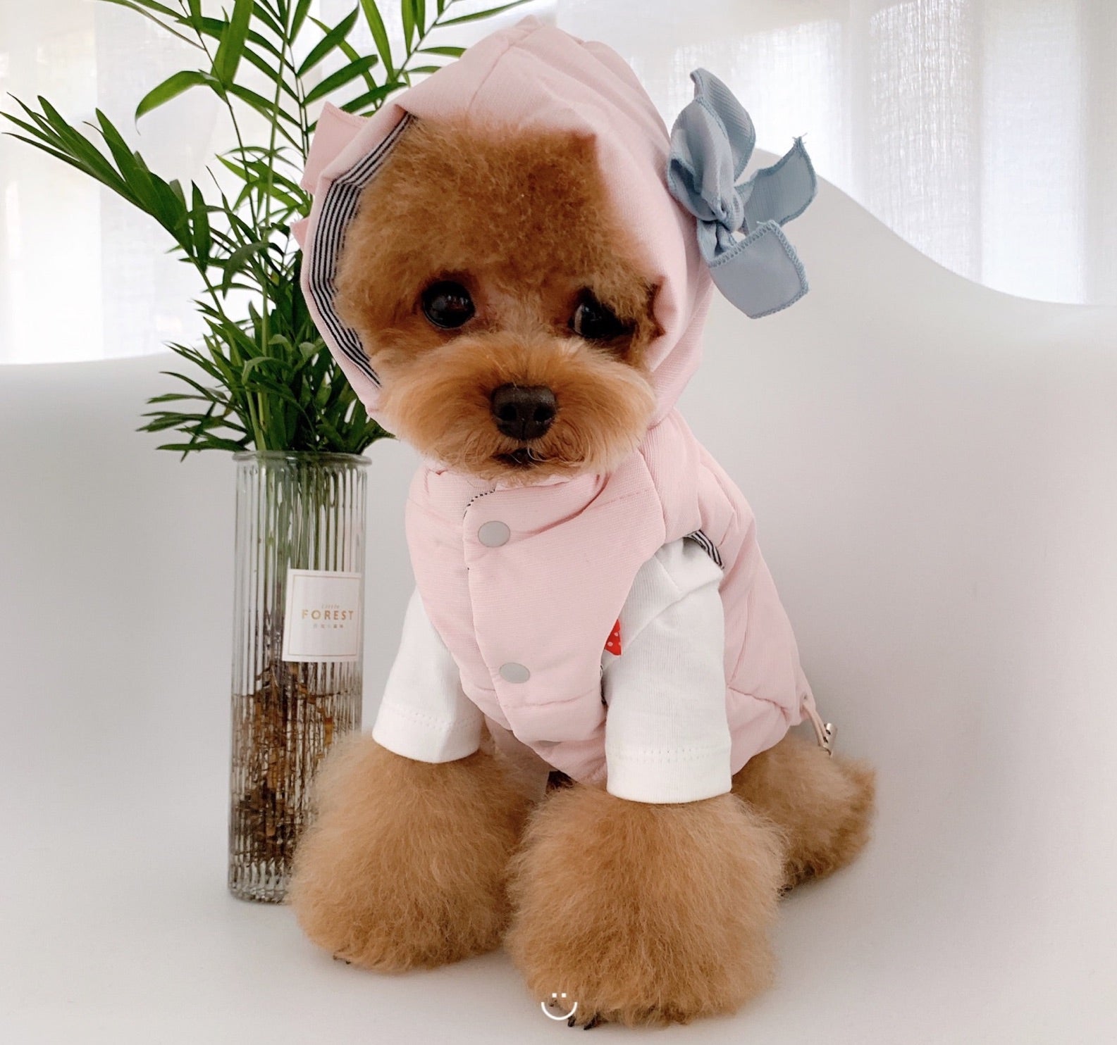 Dog Jacket Florence Ribbon - Baby Pink / Baby Blue