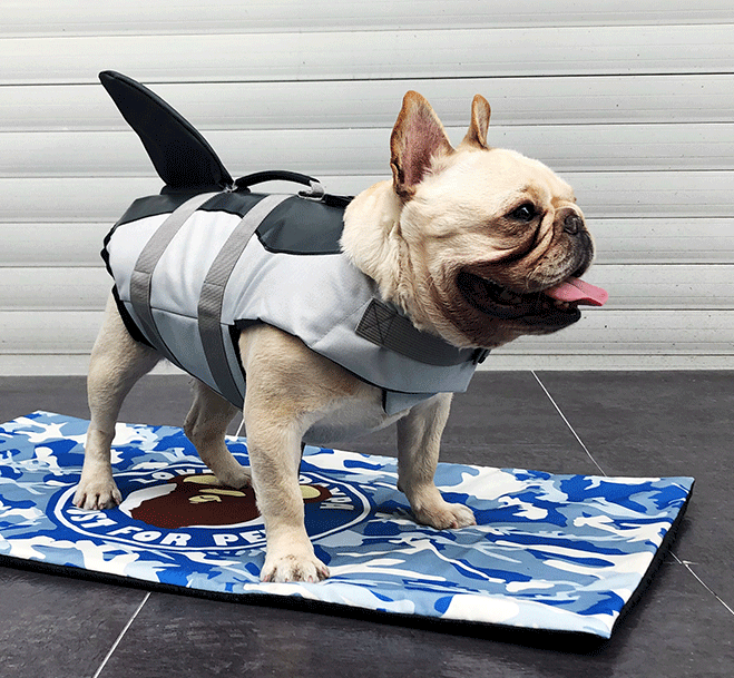 Light Weight Summer Dog Life Jacket