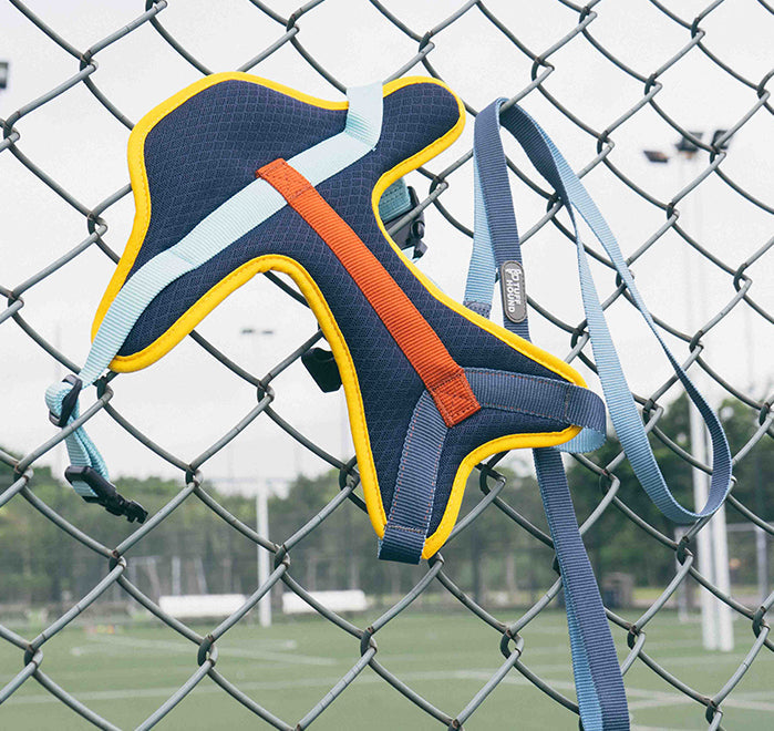 Dog Cooling Harness with matching lead set