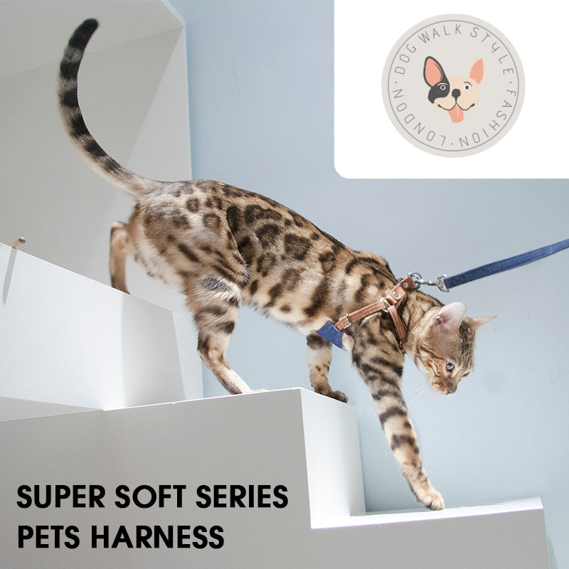 Japanese design 100% cotton super soft harness with lead set for dogs and cats