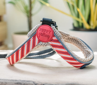 Puppy Gallery Korea - Dog Harness and Lead - Red Stripe
