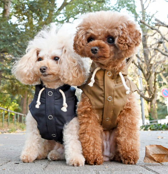 Japan Radica Cordura Raincoat and Wind Breaker with Hoodie