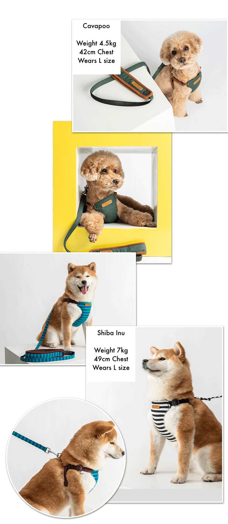 Japanese design 100% cotton super soft harness with lead set for dogs and cats