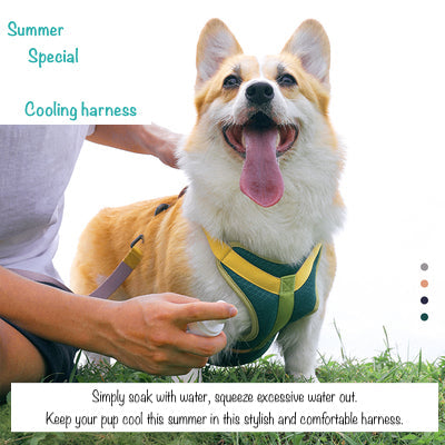 Dog Cooling Harness with matching lead set