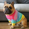 Rainbow Dog Jumper