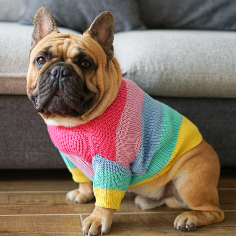 Rainbow Dog Jumper