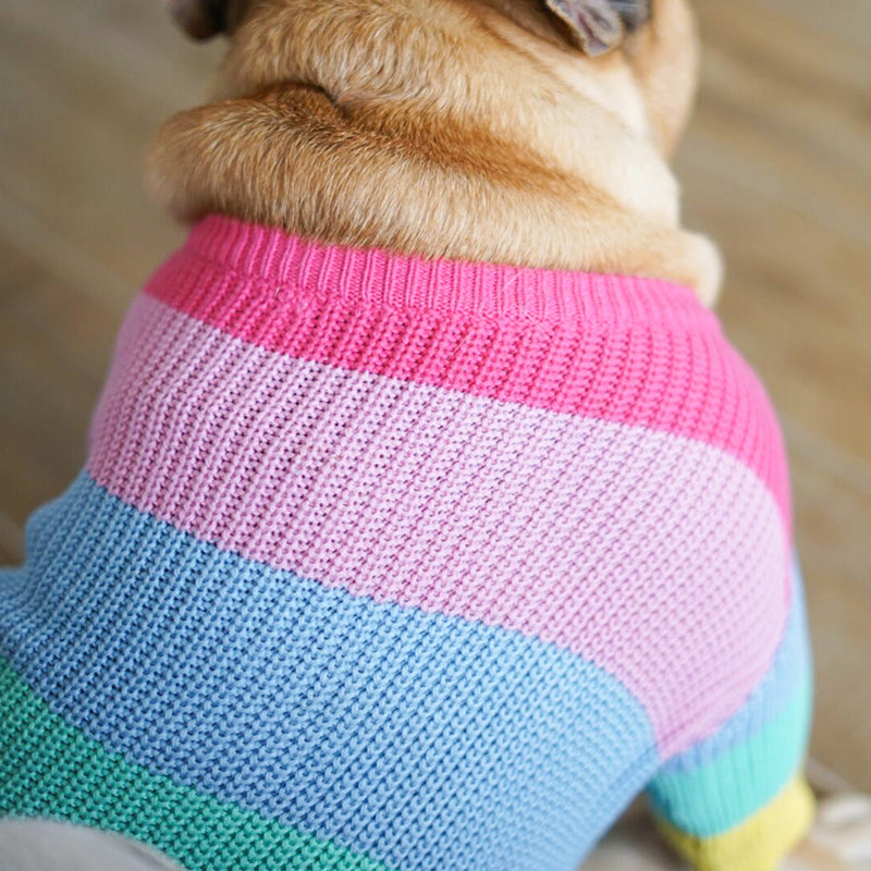Rainbow Dog Jumper