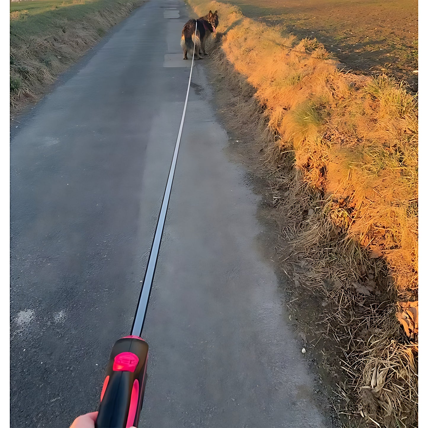 Retractable Dog Lead 5m  8m – Heavy Duty Adjustable Walking Leash (Up to 50kg)