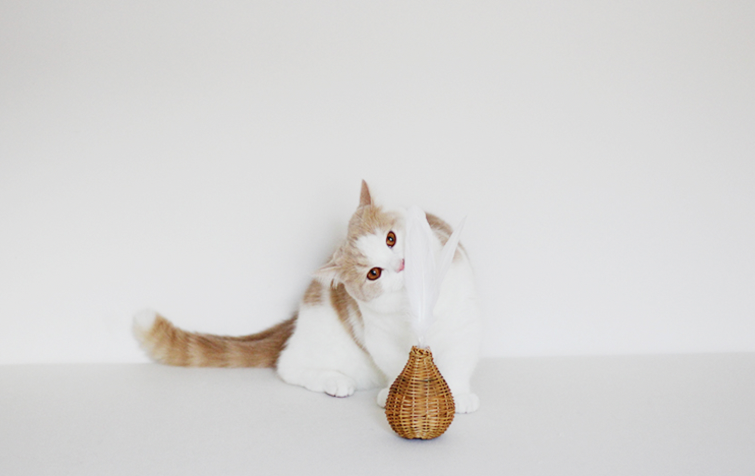 Feather Tip Rattan Cat Toy with bell inside (Made in Japan)