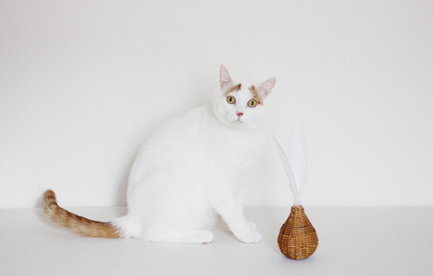 Feather Tip Rattan Cat Toy with bell inside (Made in Japan)