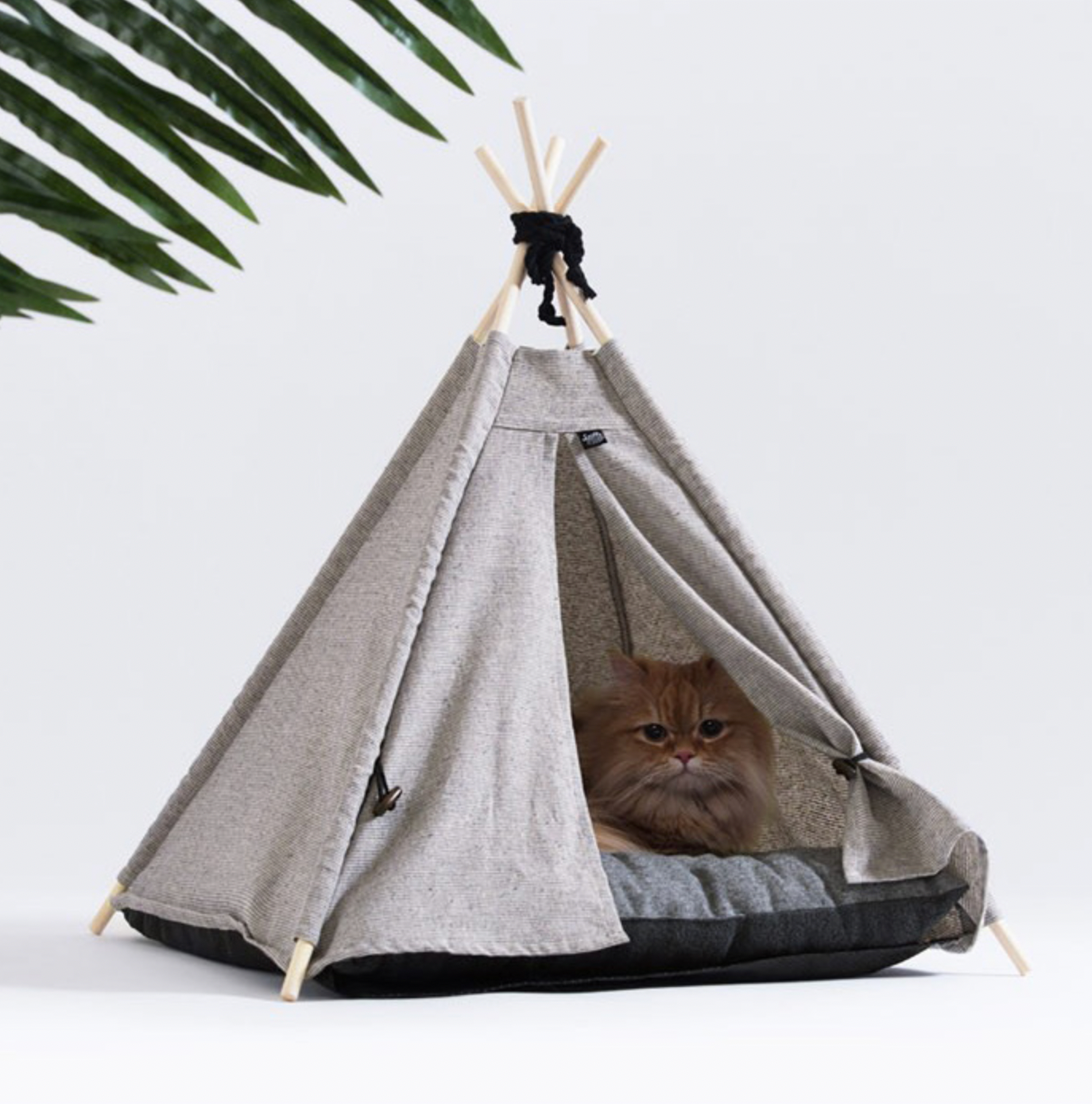 Korean Design Pet Tee Pee