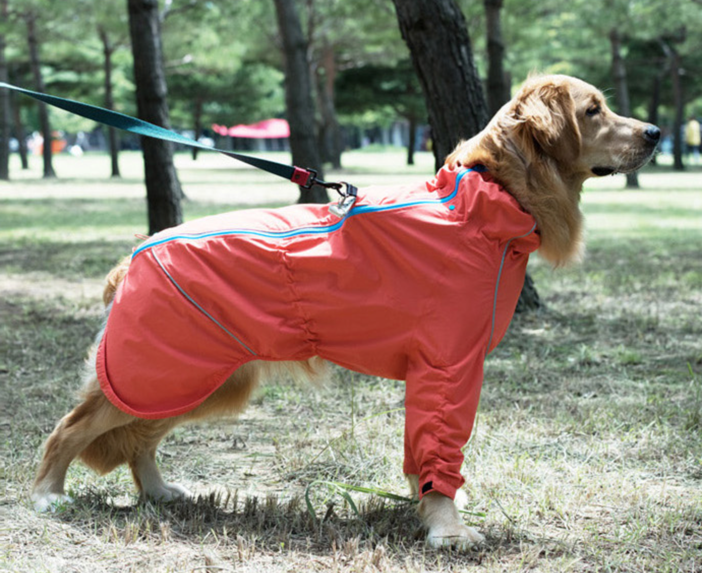 Korea Design Dog Windbreaker Raincoat, 2 legs