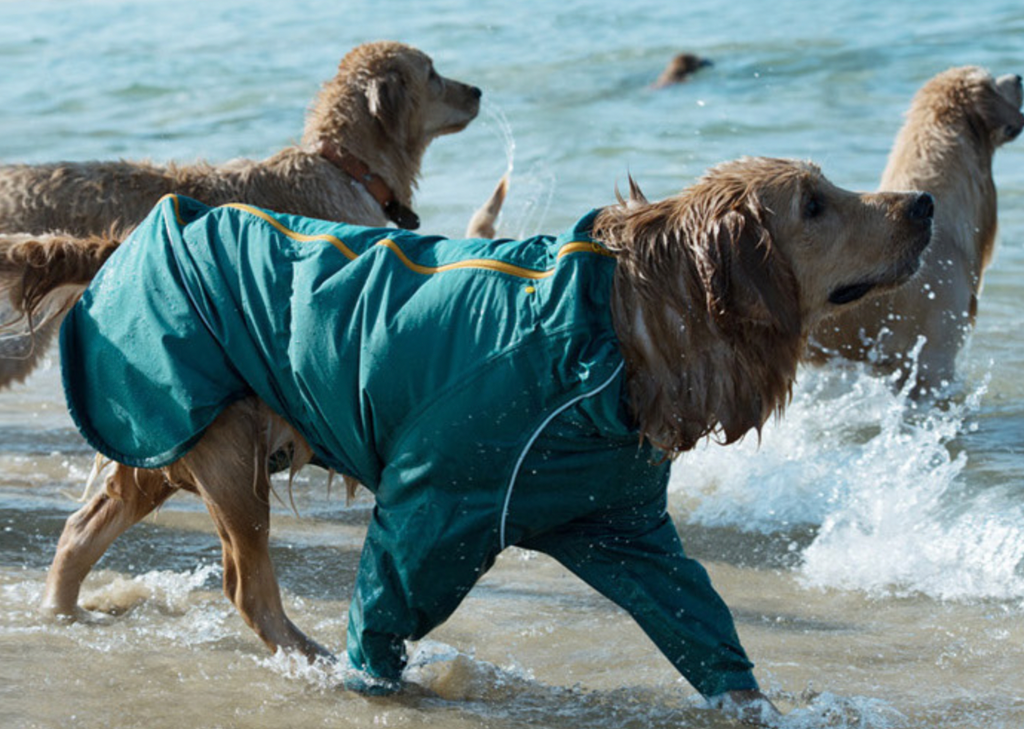 Korea Design Dog Windbreaker Raincoat, 2 legs