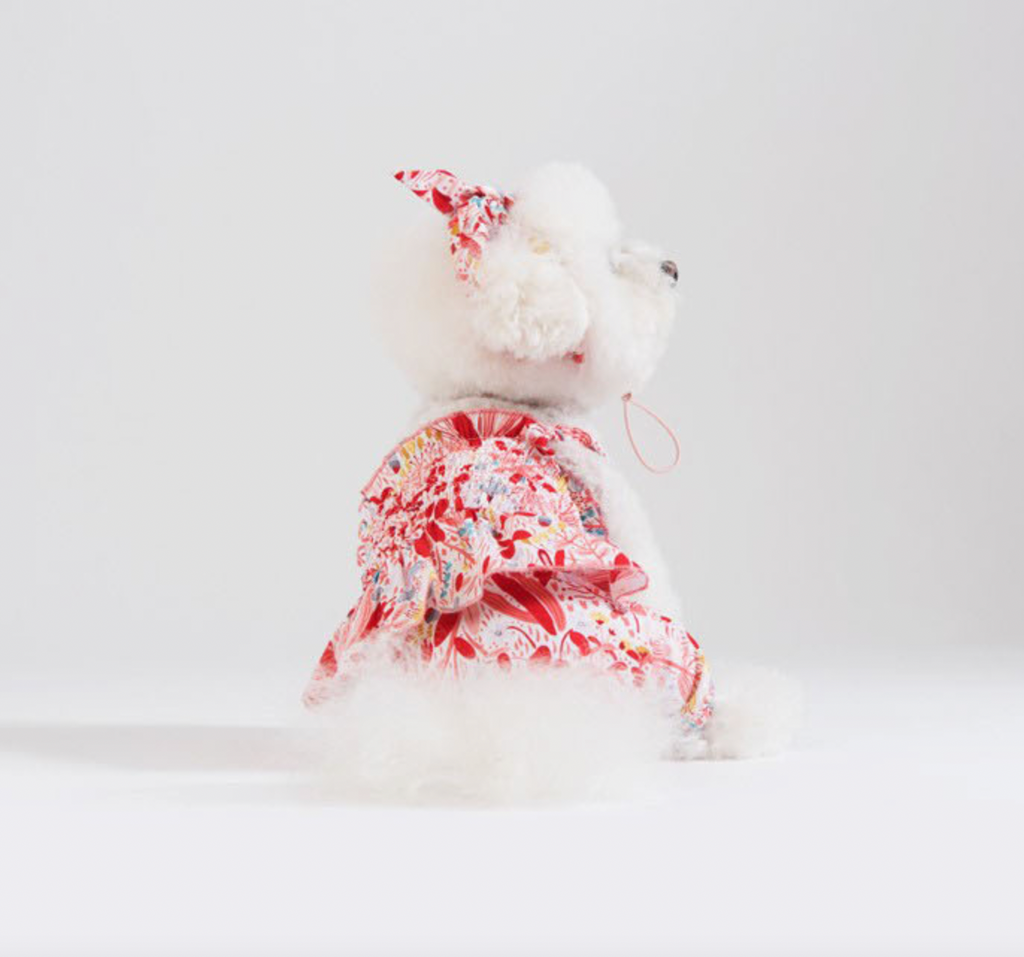 Korean Design Summer Dog Outfit