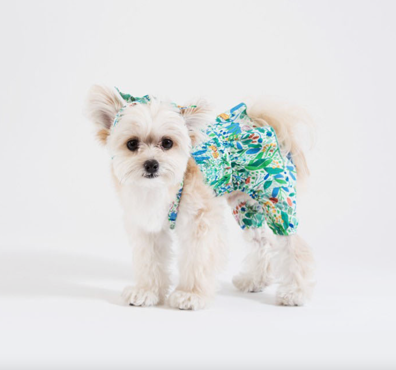 Korean Design Summer Dog Outfit