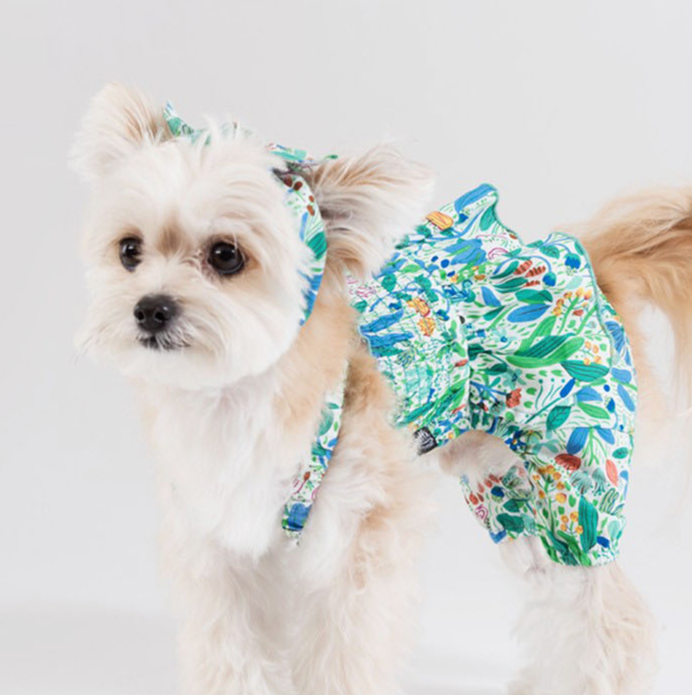 Korean Design Summer Dog Outfit