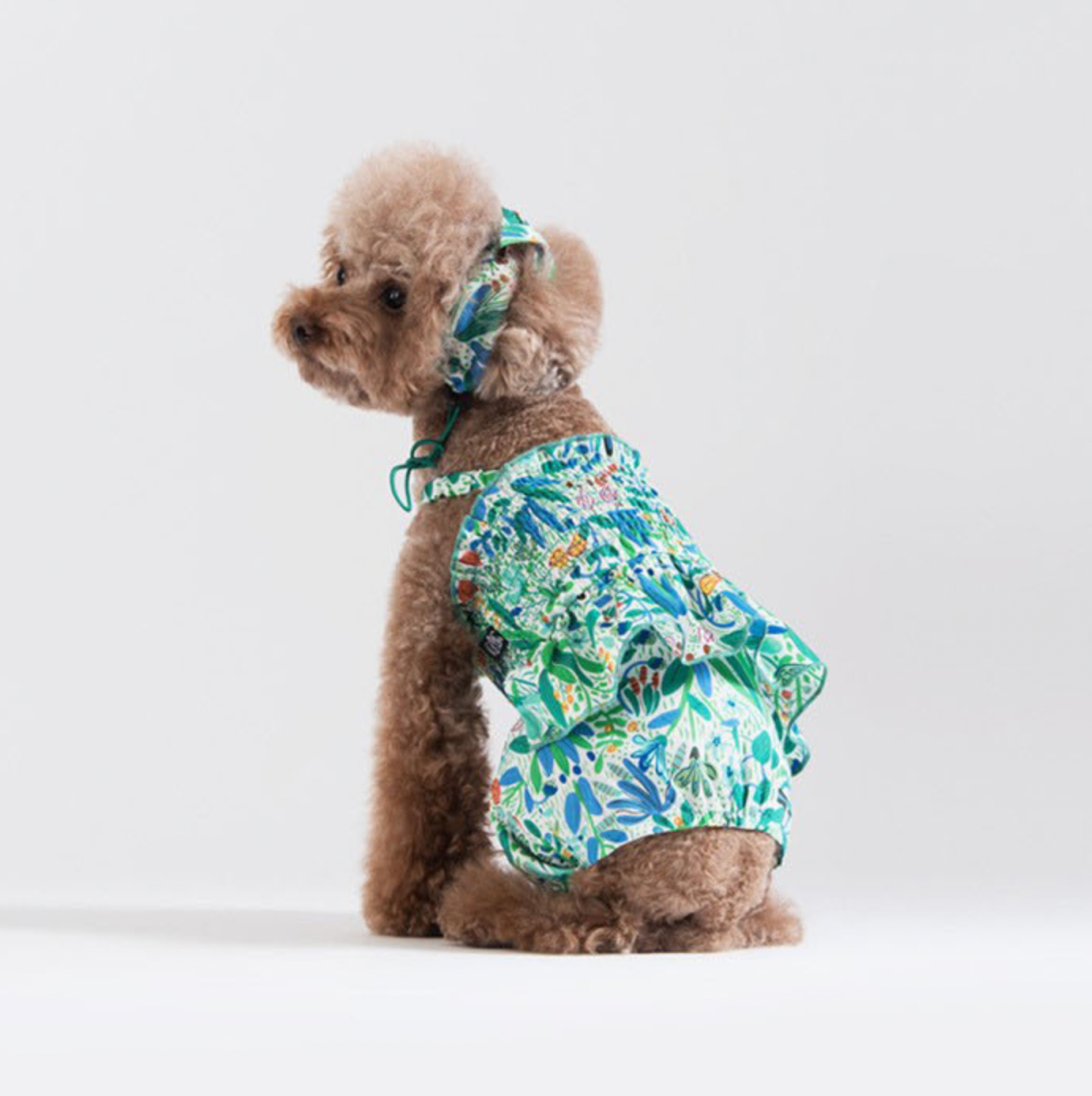 Korean Design Summer Dog Outfit