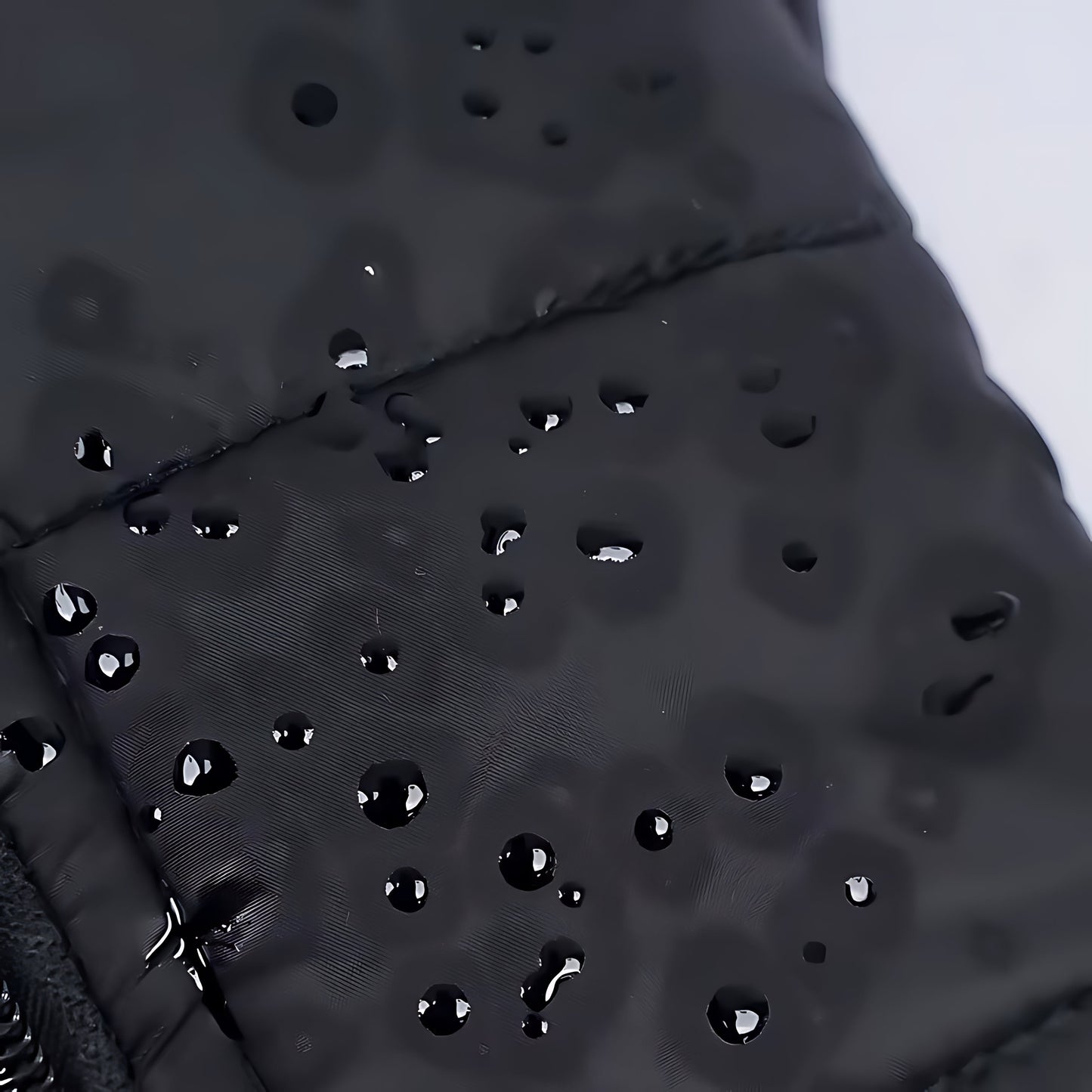 Waterproof Winter Dog Coat – Warm Padded Zipper Jacket for Small, Medium & Large Dogs