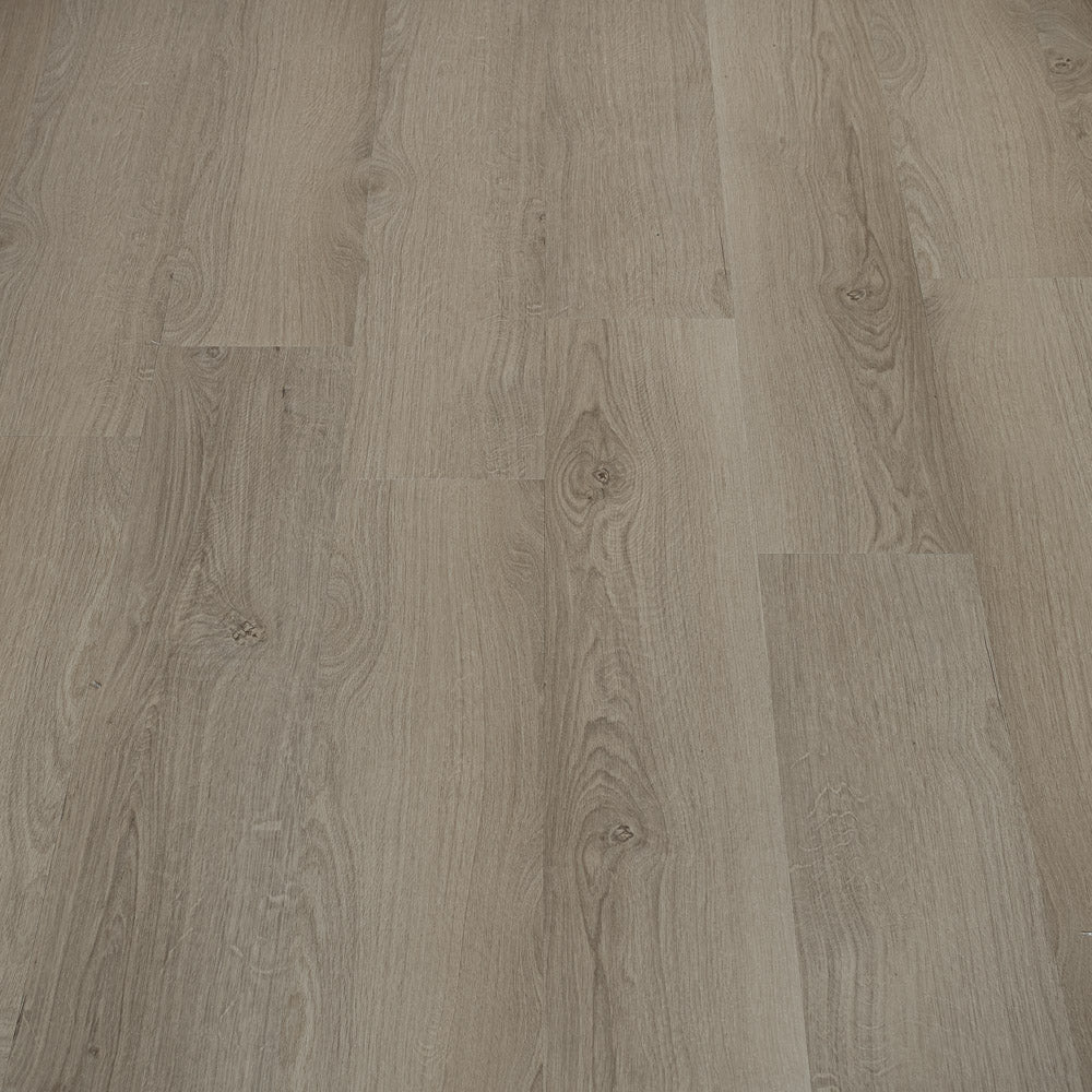 Axia 2mm Gluedown LVT Flooring - Sample