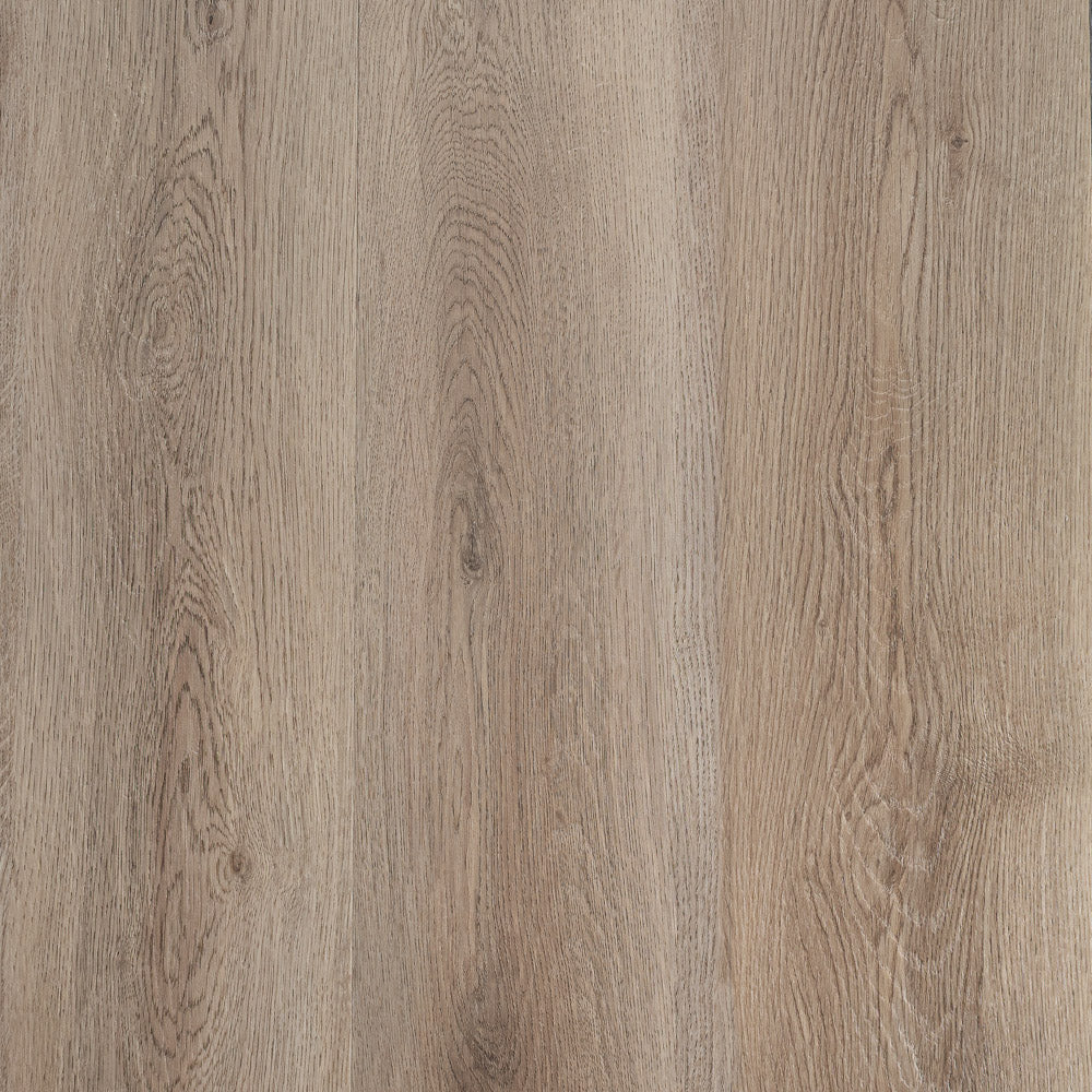 Axia 2mm Gluedown LVT Flooring - Sample